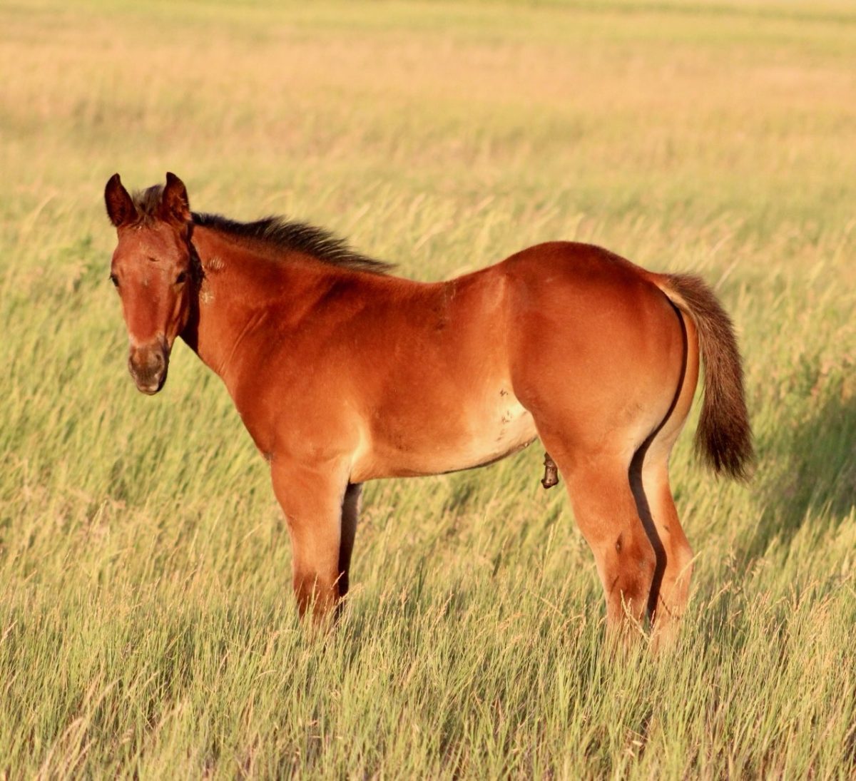 Lot 20 - Shadow Of The Day